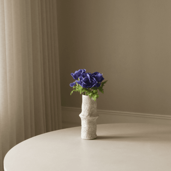 Hovedbilde Blue Anemone Flower/ Botanè