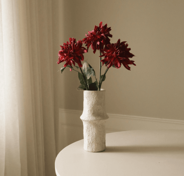 Hovedbilde Dark Red Cactus Dahlia Flower/ Botanè