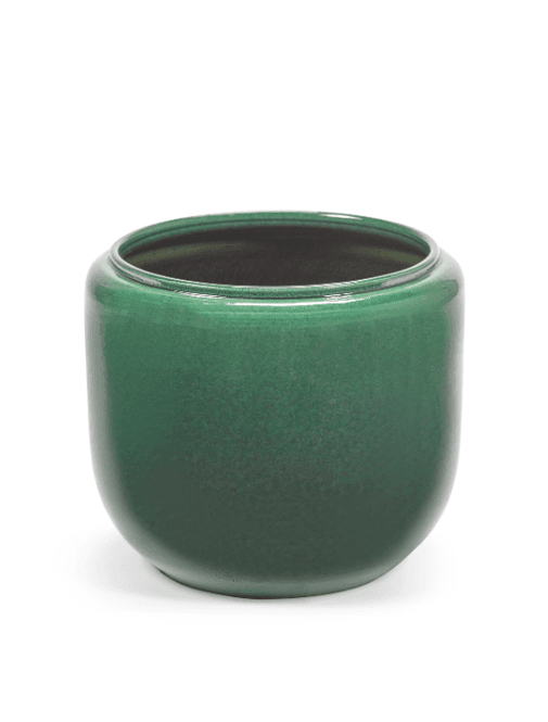 Hovedbilde Flower Pot S Green Costa/ Serax