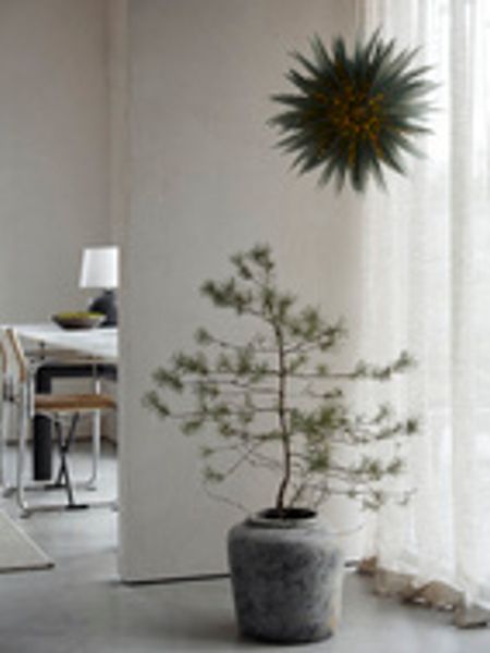 Hovedbilde Liz 50 Green/ Watt&Veke