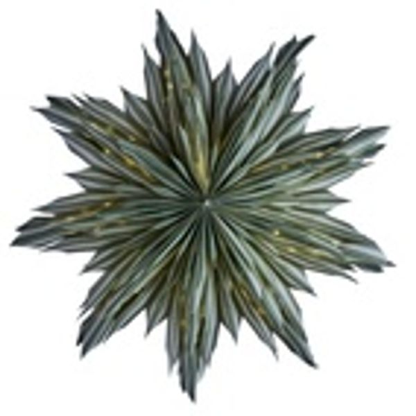 Hovedbilde Helena 44 Green/ Watt&Veke