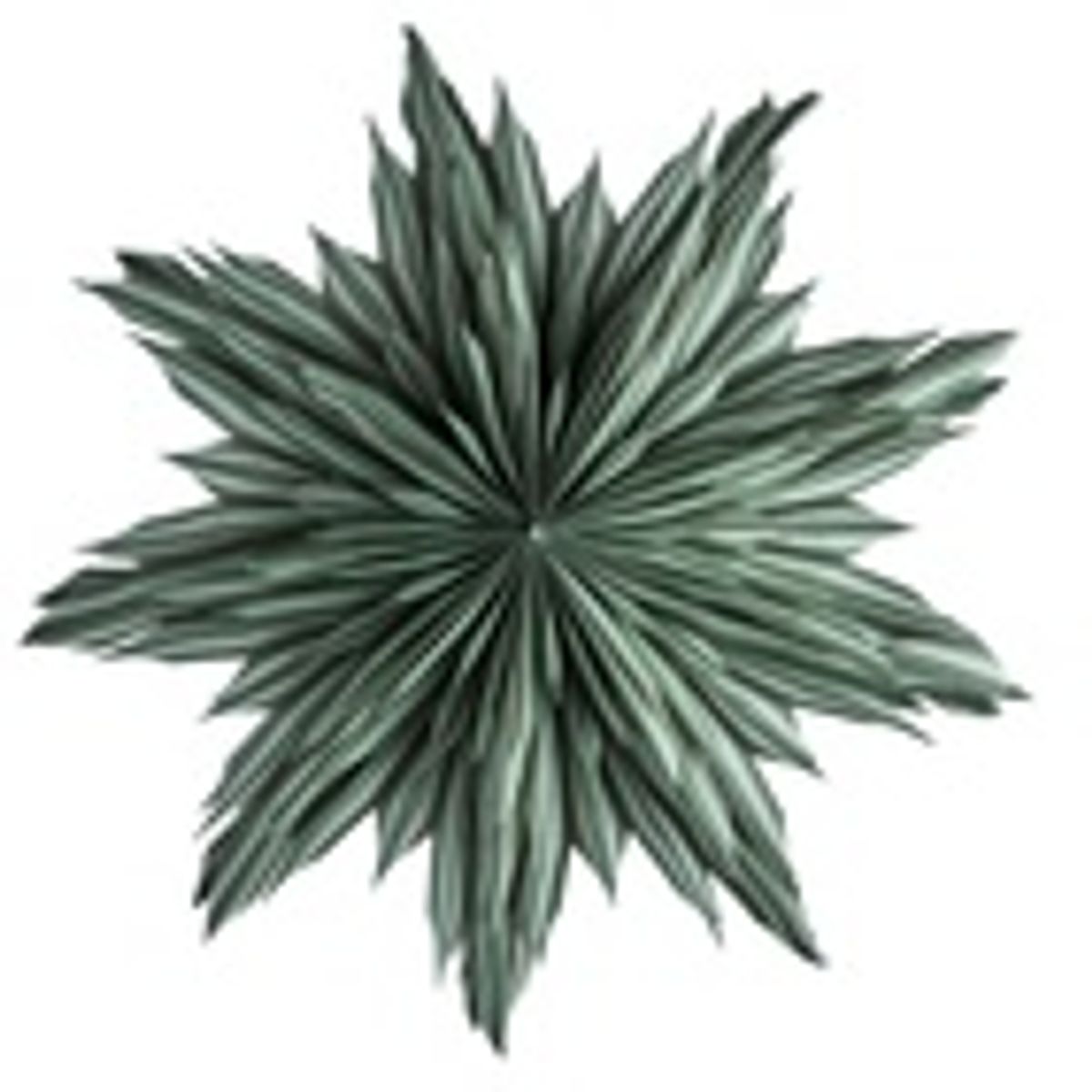 Helena 44 Green/ Watt&Veke